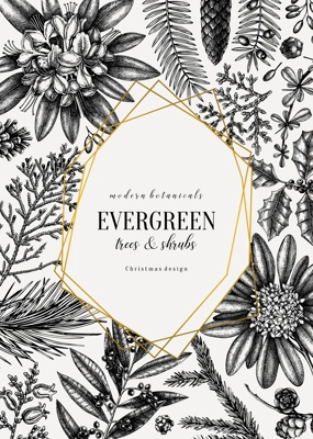 Christmas greeting card or invitation design. Golden foil elements. Vector frame with hand sketched winter flowers, conifers and evergreen plants. Vintage botanical background. Christmas template.